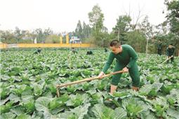 Doanh trại đẹp nhờ công sức bộ đội